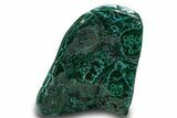 Vibrant Polished Malachite with Chrysocolla - DR Congo #320436-1